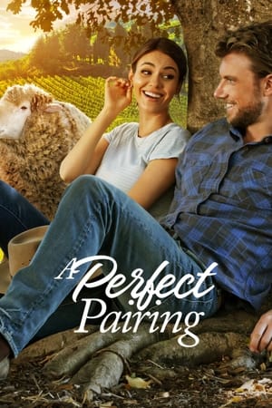 A Perfect Pairing (2022) Dual Audio HDRip | Hindi Full Movie – 480p