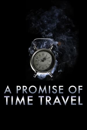A Promise of Time Travel 2016 Dual Audio | Hindi Full Movie Web-DL 300MB