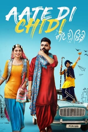 Aate di chidi (2018) Punjabi Movie | Hindi Full Movie HDRip - [400MB]