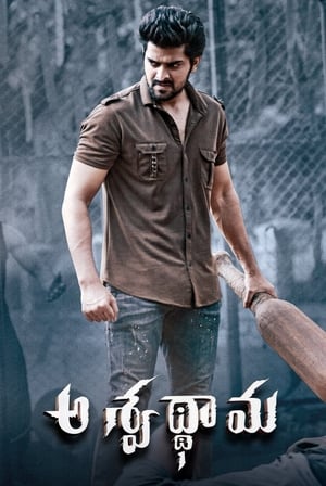 Aswathama 2020 ( – Telugu) Dual Audio | Hindi Full Movie UnCut HDRip [960MB]