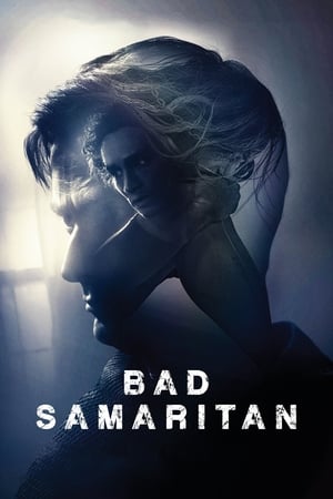 Bad Samaritan (2018) Dual Audio | Hindi Full Movie BluRay [1GB]