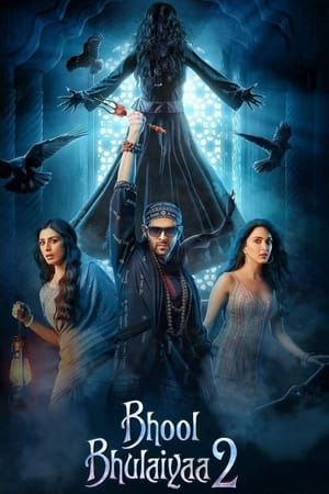 Bhool Bhulaiyaa 2 2022 Movie Web-DL | Hindi Full Movie – 480p