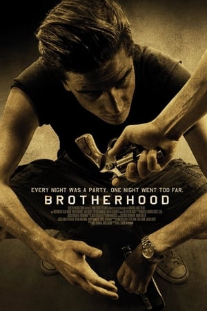 Brotherhood (2010) Dual Audio HDRip | Hindi Full Movie – 480p