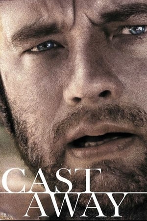 Cast Away 2000 Dual Audio | Hindi Full Movie BluRay 450MB