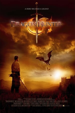 Dragon Hunter (2009) Dual Audio | Hindi Full Movie BluRay [1GB]