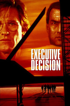 Executive Decision (1996) Dual Audio | Hindi Full Movie BluRay [1GB]