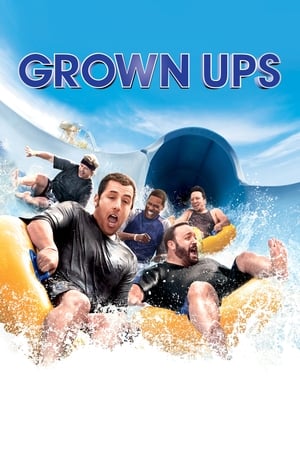 Grown Ups (2010) Dual Audio | Hindi Full Movie BluRay 300MB