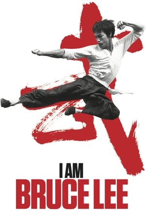 I Am Bruce Lee 2012 Dual Audio Bluray | Hindi Full Movie [850MB] Download