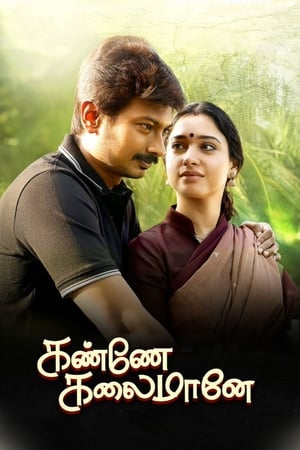 Kanne Kalaimaane 2019 ( -Tamil) Dual Audio | Hindi Full Movie UnCut HDRip [1GB]