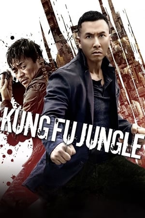 Kung Fu Jungle (2014) Dual Audio | Hindi Full Movie BluRay 300MB