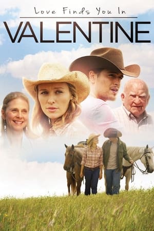 Love Finds You in Valentine (2016) Dual Audio | Hindi Full Movie BluRay 300MB