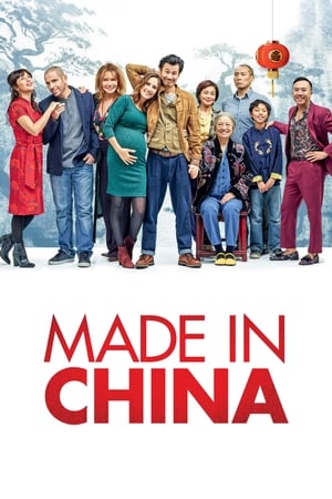 Made in China (2019) Movie | Hindi Full Movie HDRip x264 [930MB]