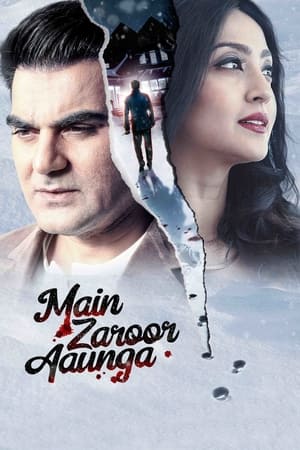 Main Zaroor Aaunga 2019 Movie | Hindi Full Movie HDRip - [260MB]