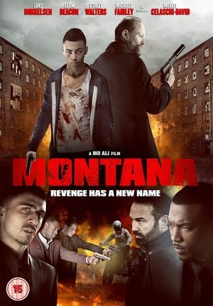 Montana (2014) Dual Audio | Hindi Full Movie BluRay 350MB