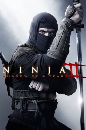 Ninja Shadow of a Tear 2013 Dual Audio | Hindi Full Movie BluRay 300MB