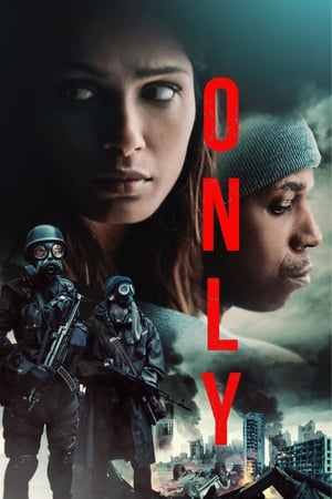 Only 2019 Dual Audio | Hindi Full Movie Web-DL [900MB]