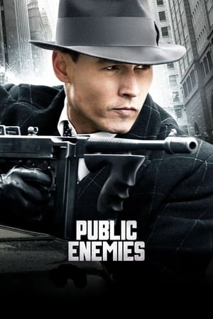 Public Enemies (2009) Dual Audio | Hindi Full Movie BluRay 400MB