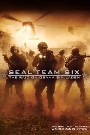 Seal Team Six: The Raid on Osama Bin Laden (2012) Dual Audio | Hindi Full Movie BluRay 300MB