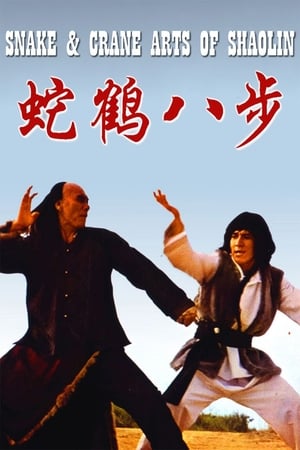 Snake and Crane Arts of Shaolin 1978 Dual Audio | Hindi Full Movie BluRay [980MB]