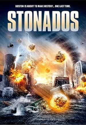 Stonados (2013) Dual Audio | Hindi Full Movie BluRay 300MB