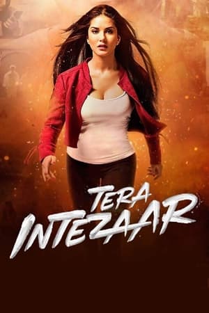 Tera Intezaar 2017 Movie | Hindi Full Movie HDRip - [300MB]