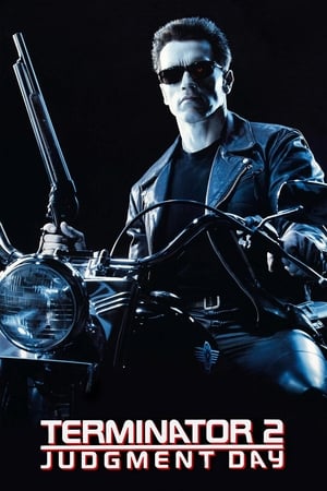 Terminator 2 (1991) Dual Audio | Hindi Full Movie BluRay [950MB]