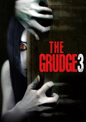 The Grudge 3 2009 Dual Audio | Hindi Full Movie Web-DL [890MB]