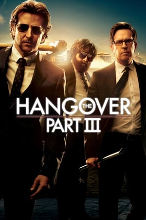 The Hangover Part III (2013) Dual Audio | Hindi Full Movie BluRay [850MB]