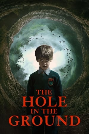 The Hole in the Ground 2019 Dual Audio | Hindi Full Movie BluRay [830MB]