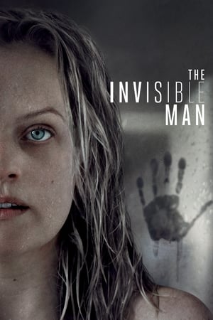 The Invisible Man (2020) (ORG) Dual Audio | Hindi Full Movie BluRay [1GB]