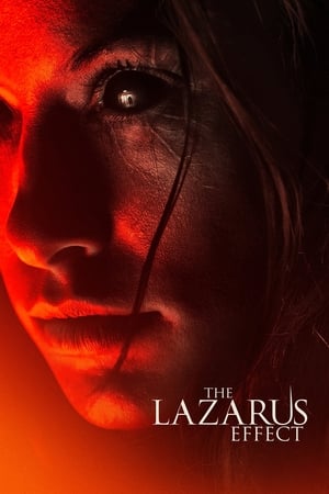 The Lazarus Effect (2015) Dual Audio | Hindi Full Movie BluRay 300MB
