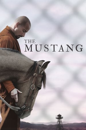 The Mustang (2019) Dual Audio | Hindi Full Movie BluRay [900MB]