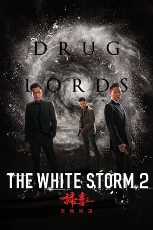 The White Storm 2: Drug Lords (2019) (Org) | Hindi Full Movie HDRip [950MB]