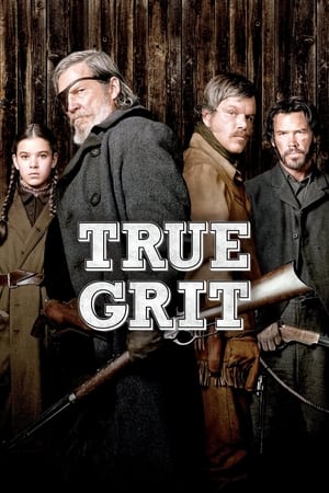 True Grit (2010) Dual Audio | Hindi Full Movie BluRay [950MB]