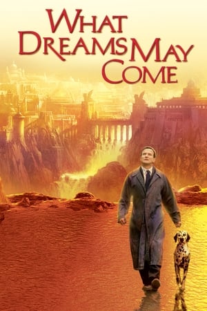 What Dreams May Come (1998) Dual Audio Full Movie | Hindi Full Movie BluRay - 900MB